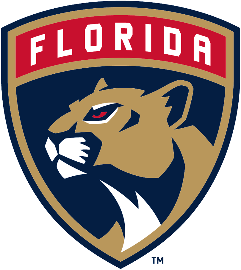 Florida Panthers 2017-Pres Primary Logo DIY iron on transfer (heat transfer)